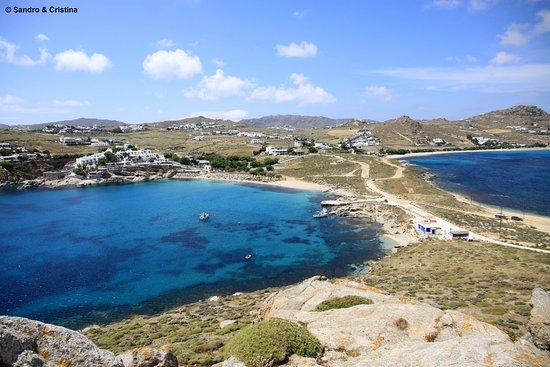 Μυκόνου Βίωμα Οικολογικό Αγρόκτημα